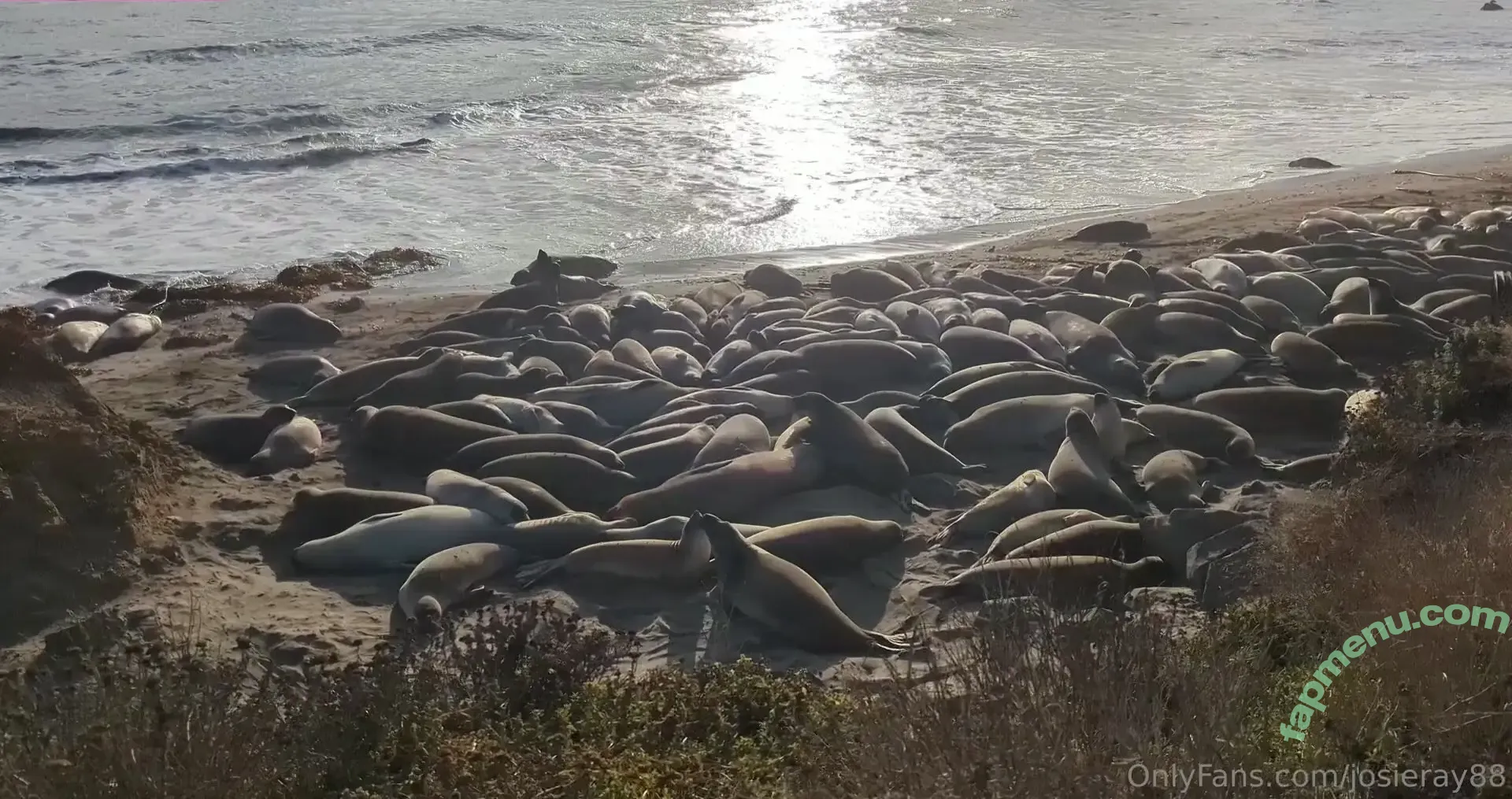 josieray88 nude photo #0048 (josie88pretty)