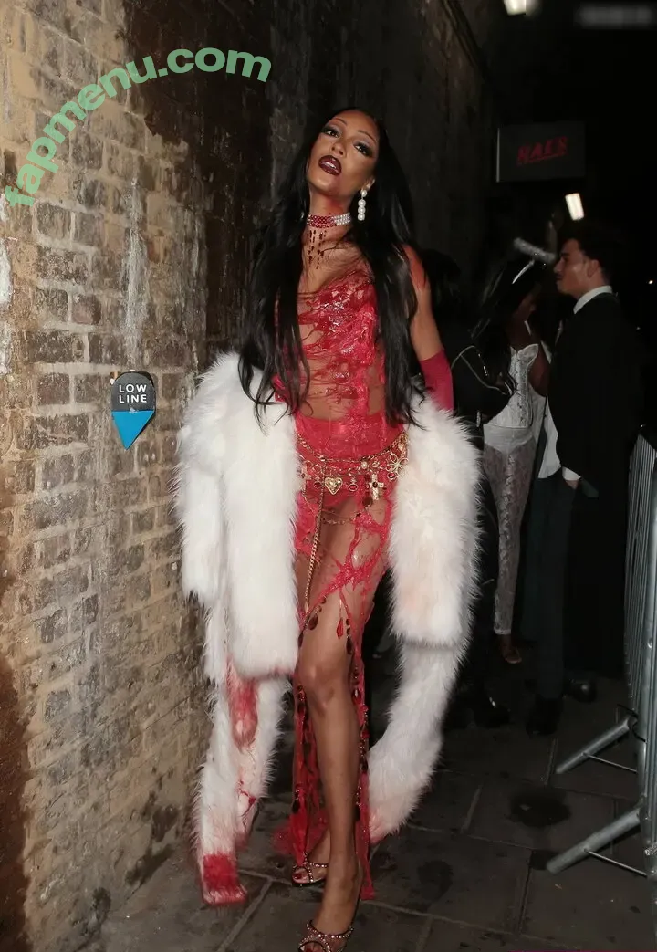 Jourdan Dunn nude photo #0081 (jourdandunn)