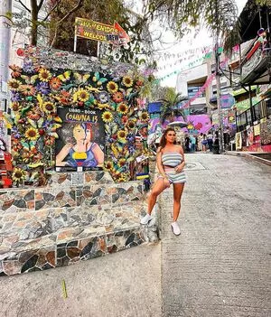 Joy Taylor / joytaylortalks nude photo #0375