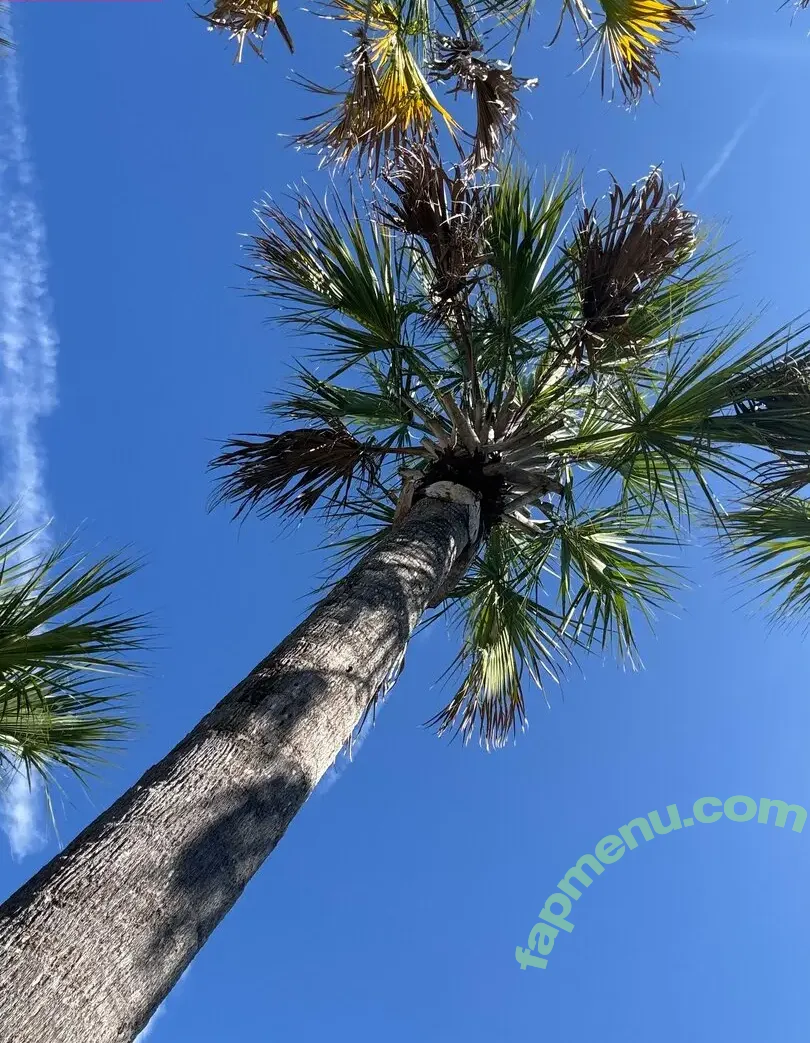 jpl_fit nude photo #0019 (_jplfit)