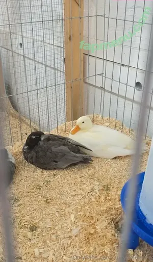 juicyjaneeeee / juicyjaneee nude photo #0082