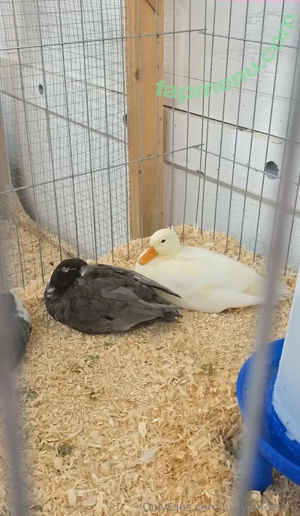 juicyjaneeeee nude photo #0082 (juicyjaneee)