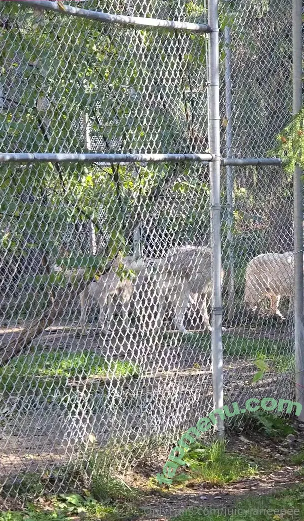 juicyjaneeeee nude photo #0136 (juicyjaneee)