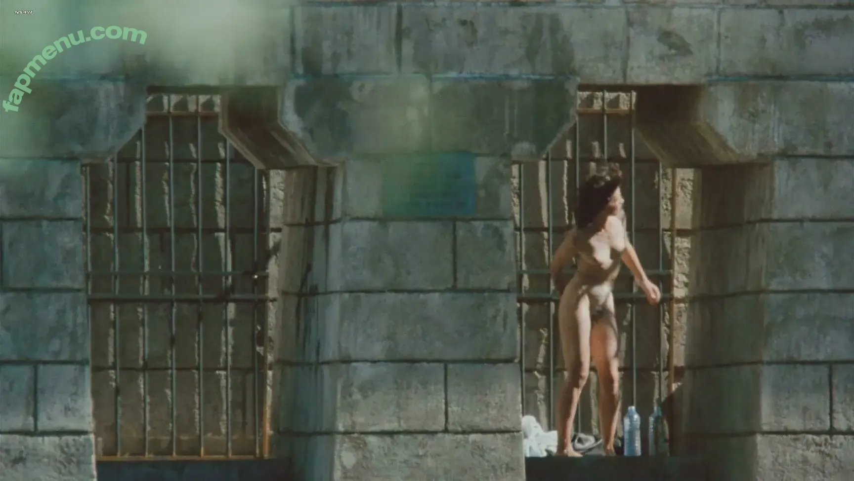 Juliette Binoche nude photo #0078 (juliettebinoche)
