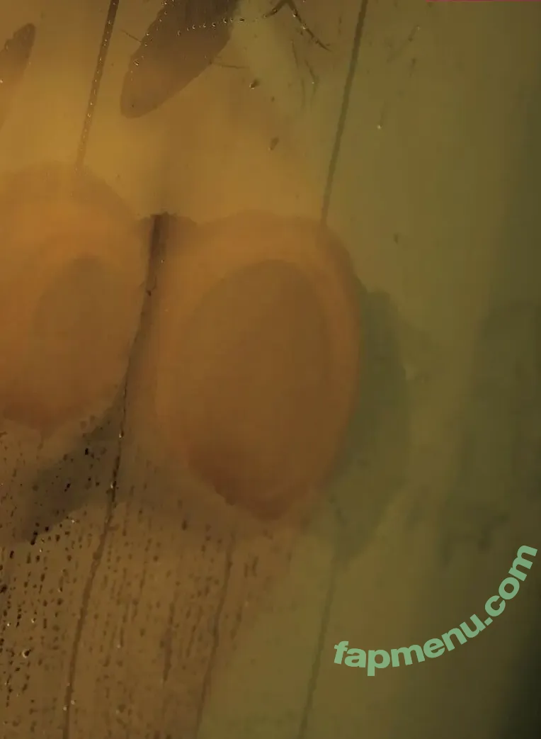 Jun Amaki nude photo #1504 (jun.amaki / toride37)