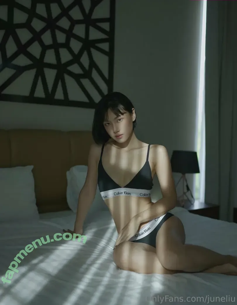 juneliu nude photo #0032 (juneliusp)