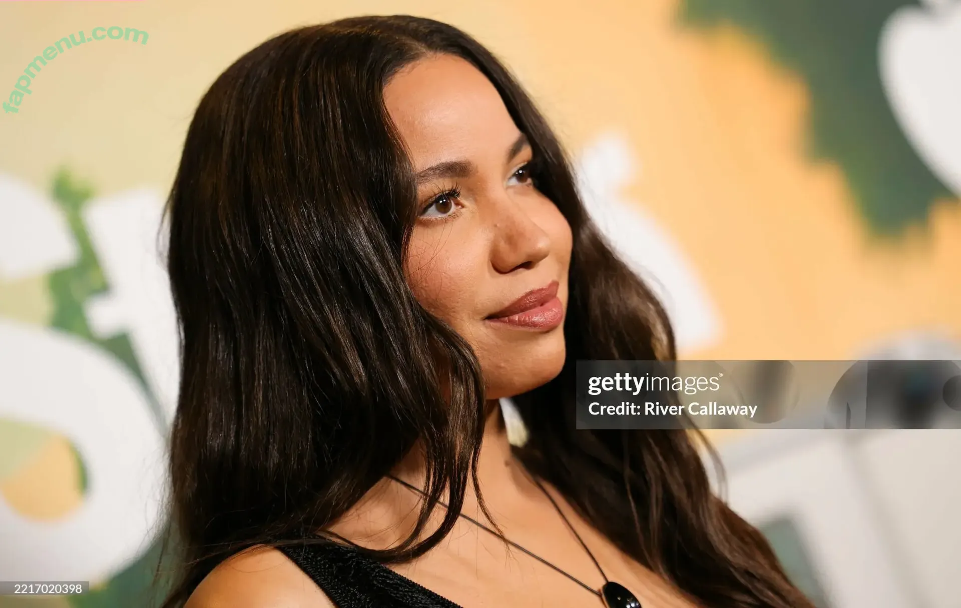 Jurnee Smollett nude photo #0589 (jurneesmollett)