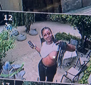Justine Skye / justineskye / justineskyee nude photo #0182