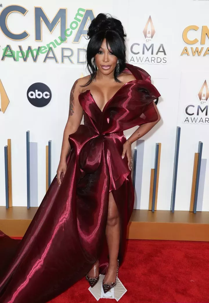 K Michelle nude photo #0039 (kmichelle / kmichellefun / kmichellemusic)