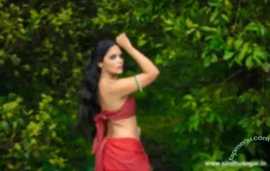 k_raginee_yogesh / Raginee nude photo #0059