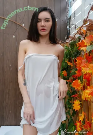 Kantaehee nude photo #1326