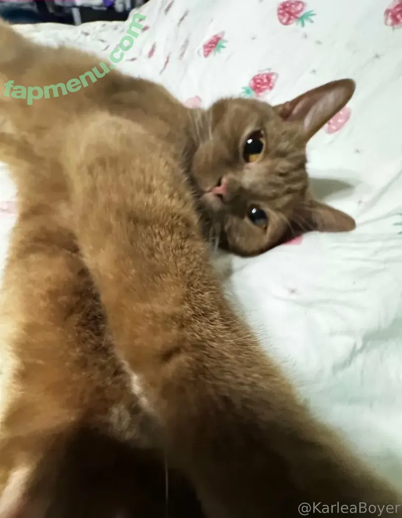 karleaxoxo nude photo #0402 (karleaboyer)