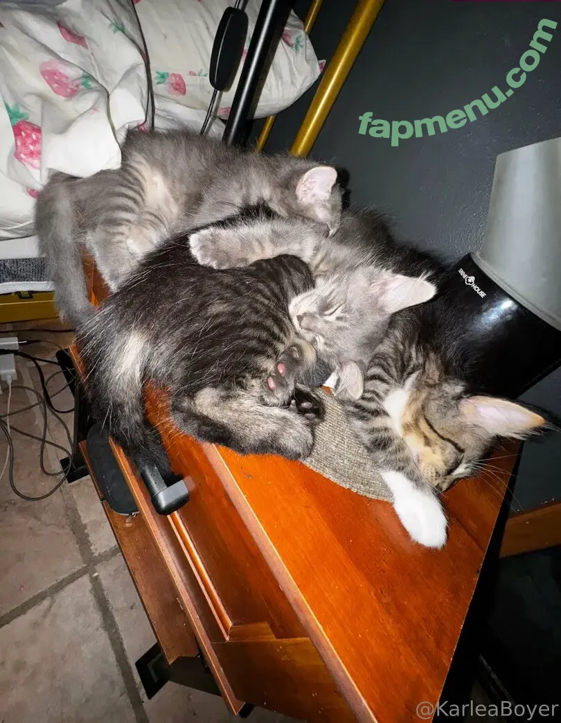 karleaxoxo nude photo #0413 (karleaboyer)