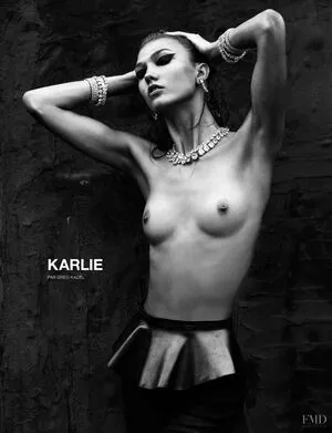 Karlie Kloss / karliekloss nude photo #0104