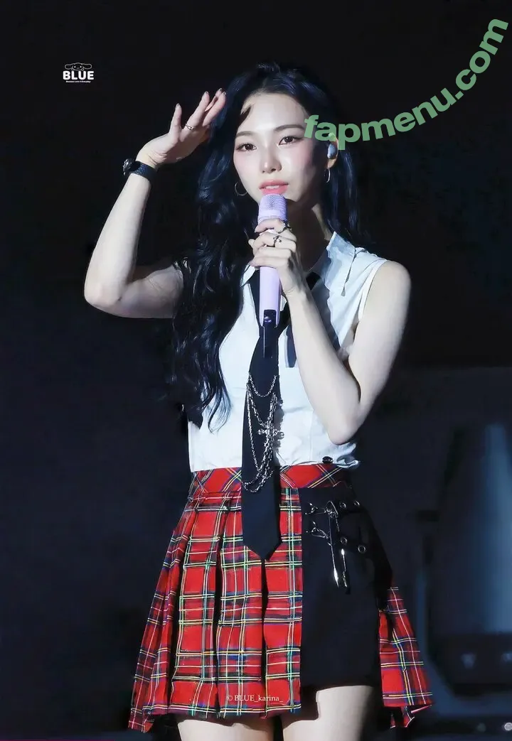 katarinabluu nude photo #3693 (Karina / aespa / karinamasfina)