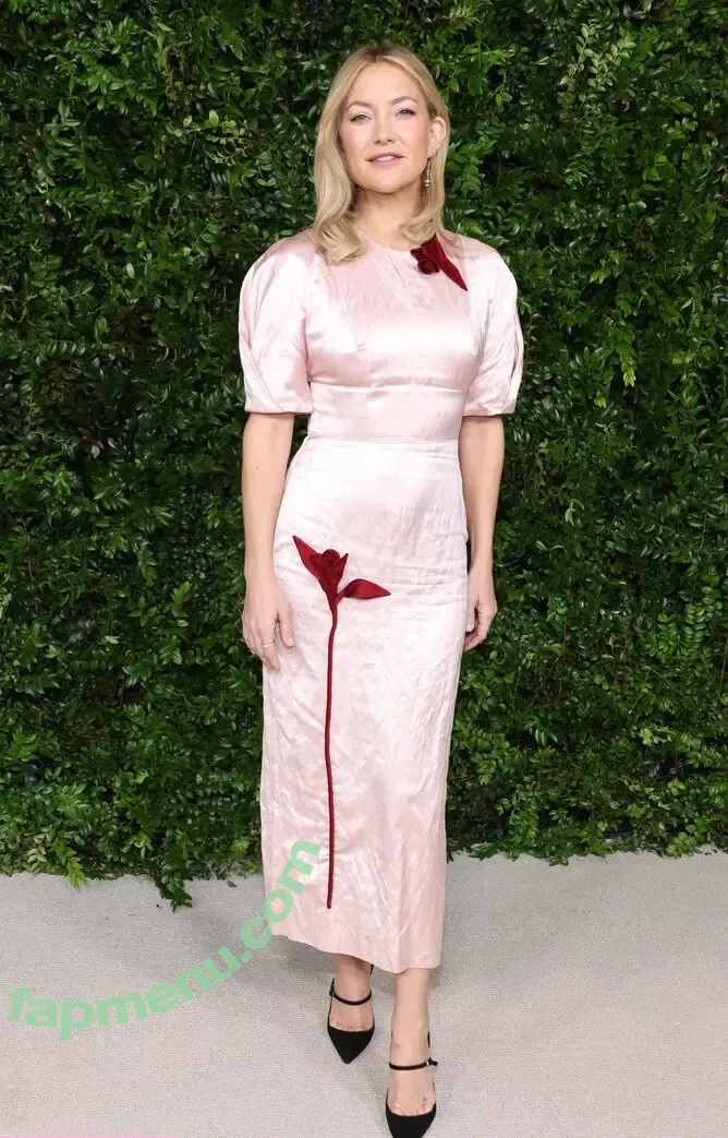 Kate Hudson nude photo #1331 (katehudson)