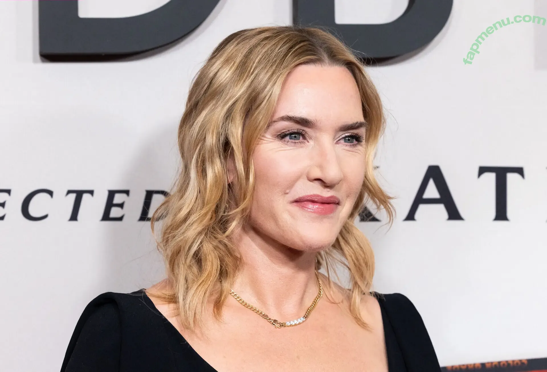 Kate Winslet nude photo #0482 (KateElizabethWinslet.us / kate.winslet.official / winsletlately)