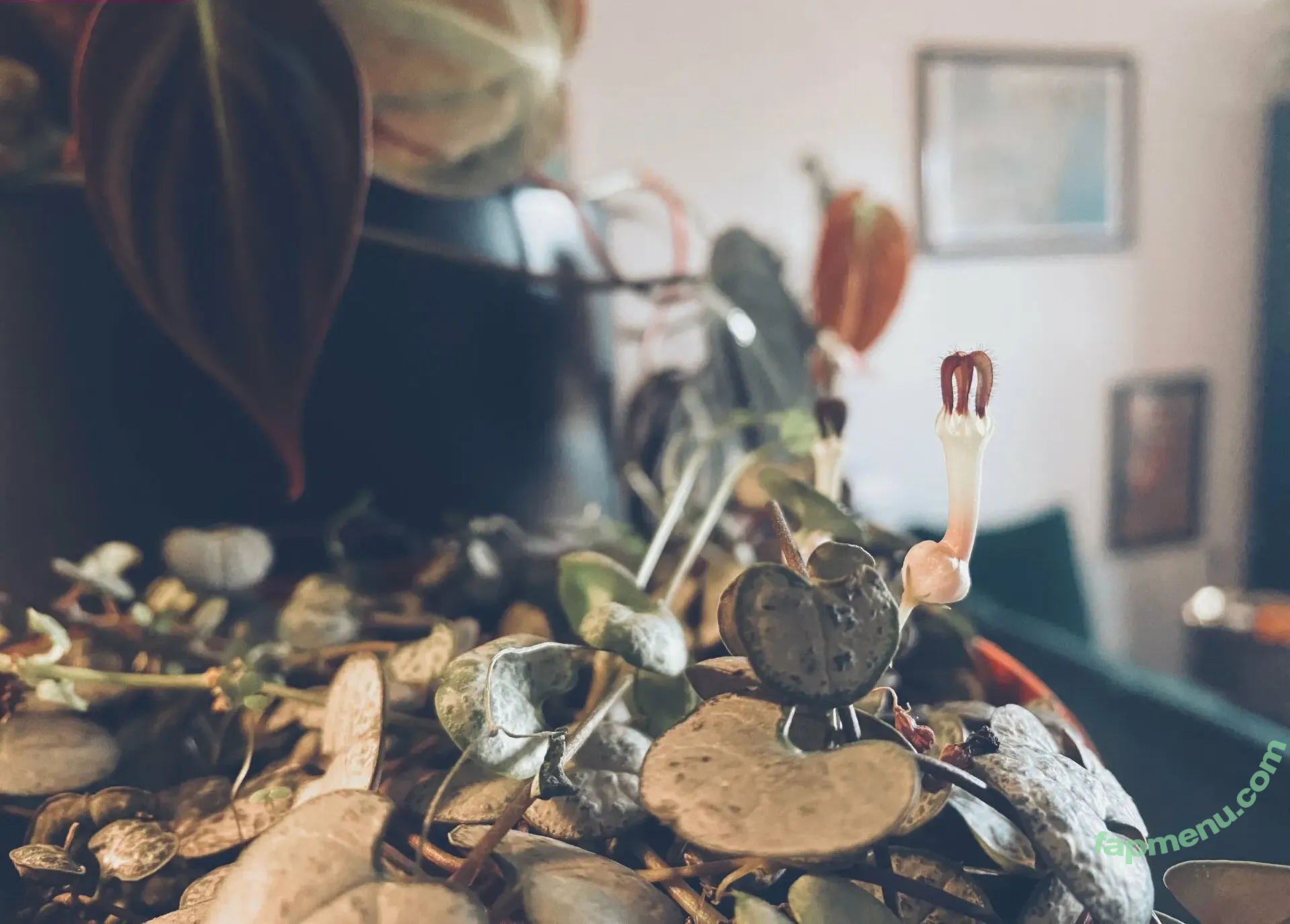 katebunnyrabbit nude photo #0002 (___katerabbit___)