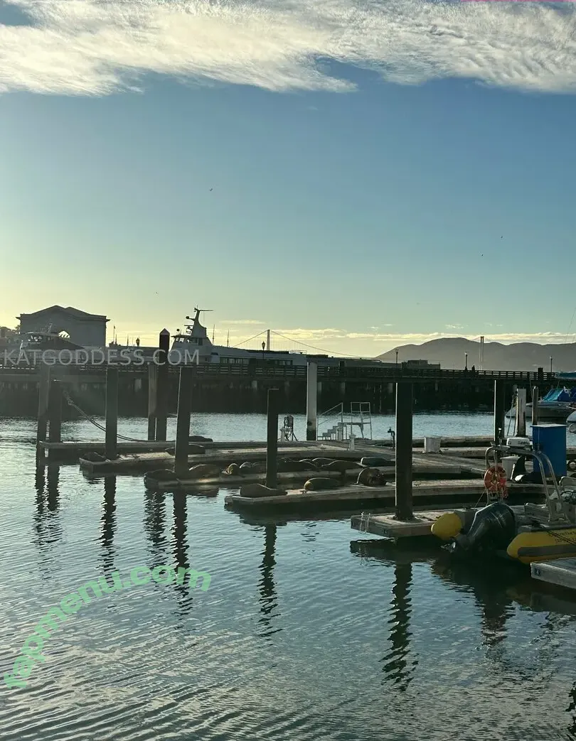 katgoddessx nude photo #0056 (katgoddessx)