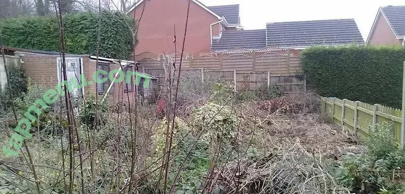 katie__fox nude photo #0261 (katie-fox / katiefoxts)