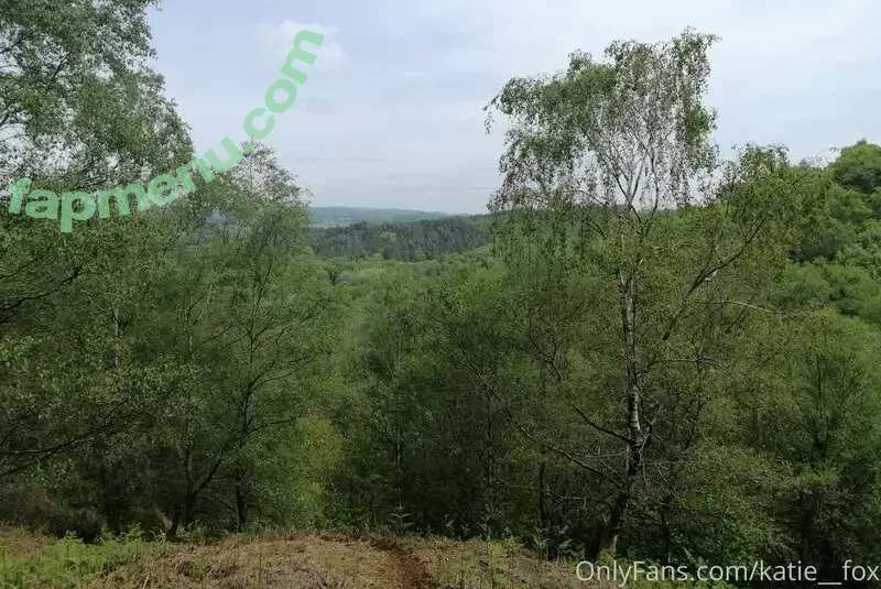 katie__fox nude photo #0310 (katie-fox / katiefoxts)