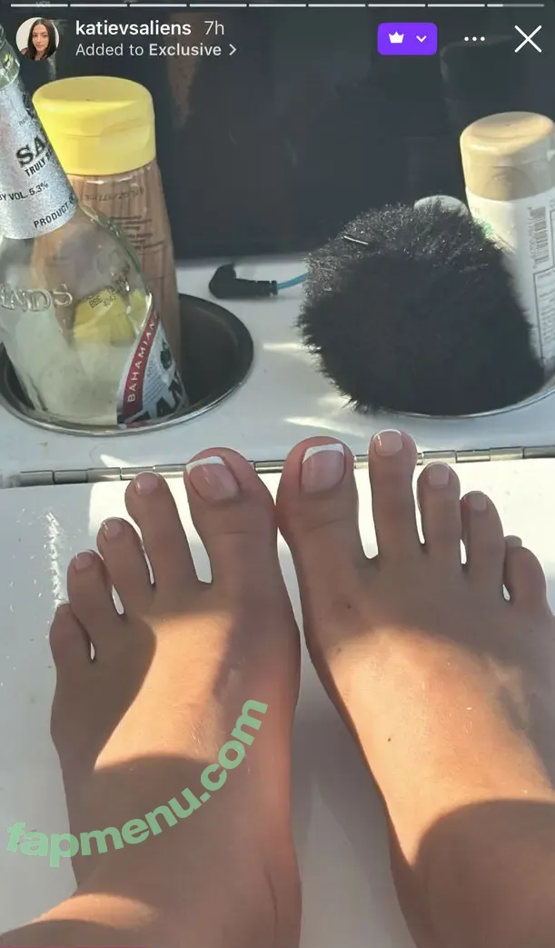 Katievsaliens nude photo #0024 (Katie Dillenbeck)