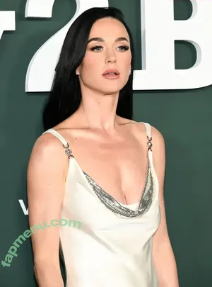 Katy Perry / katyperry nude photo #2478