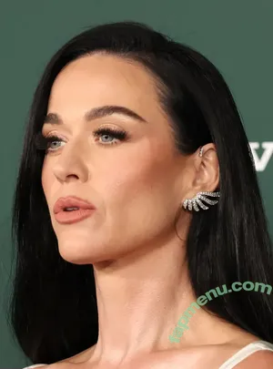 Katy Perry / katyperry nude photo #2489