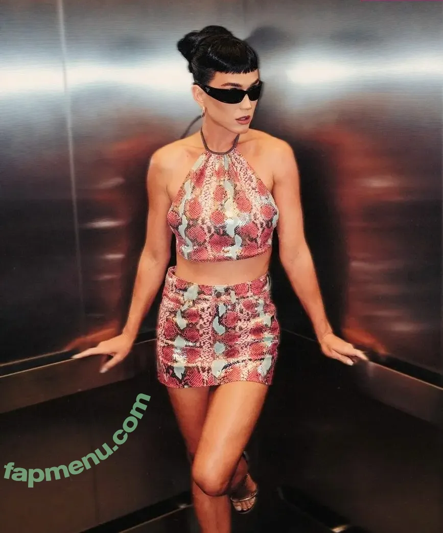 Katy Perry nude photo #2341 (katyperry)