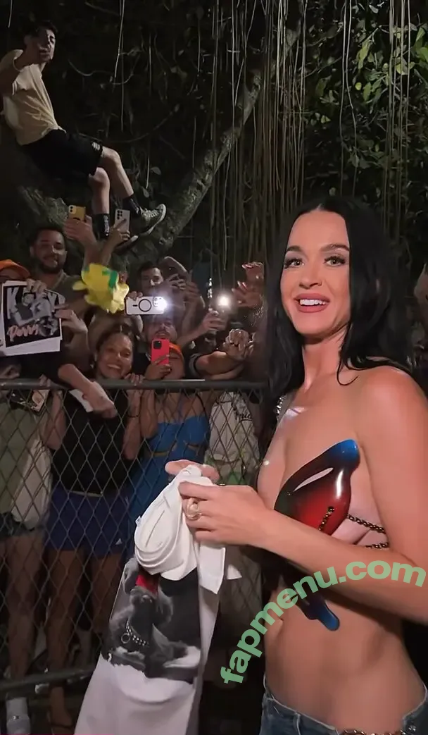 Katy Perry nude photo #2397 (katyperry)