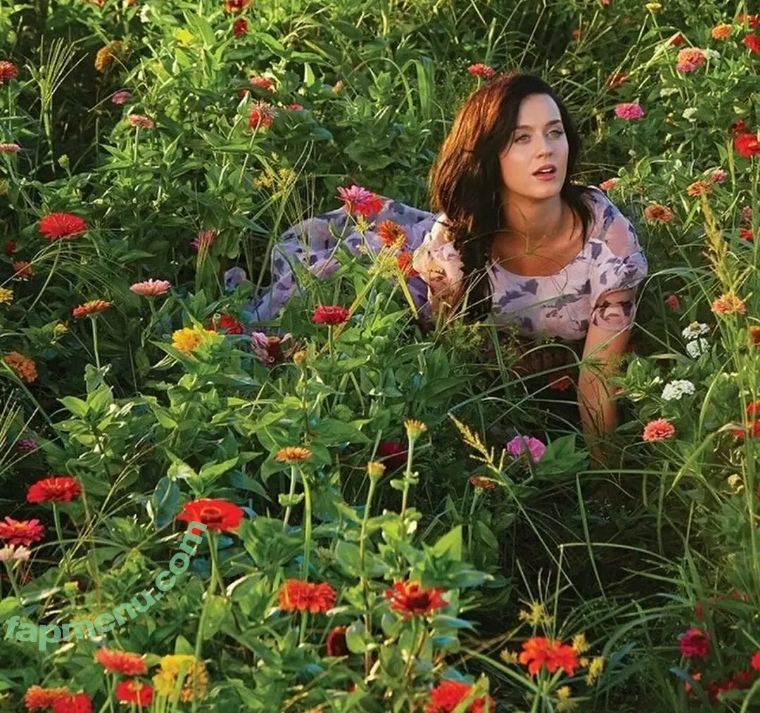 Katy Perry nude photo #2441 (katyperry)