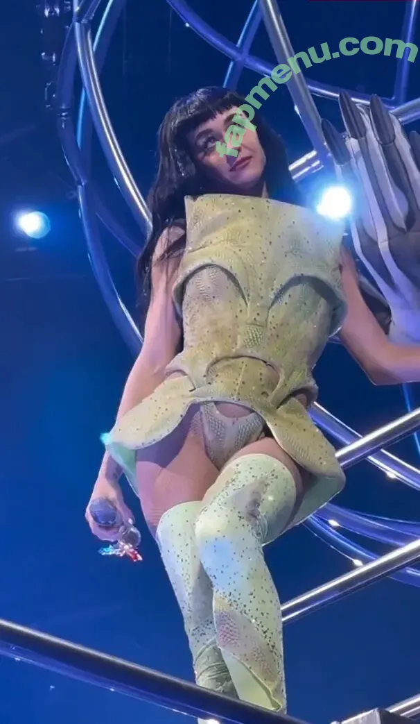 Katy Perry nude photo #3415 (katyperry)
