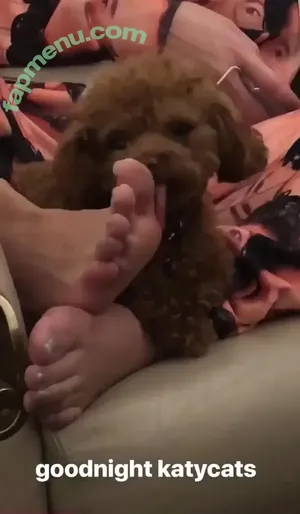 Katy Perry / katyperry nude photo #0334