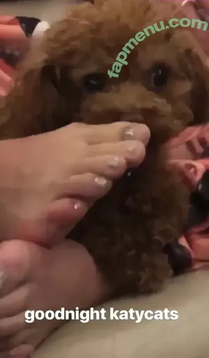 Katy Perry / katyperry nude photo #0335