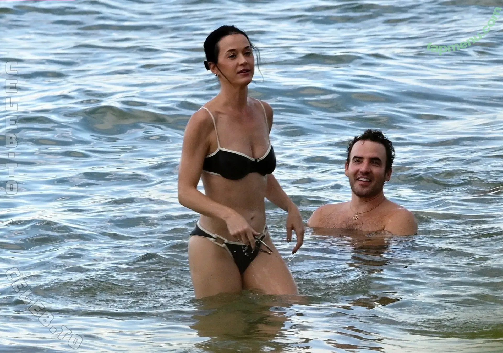 Katy Perry nude photo #0382 (katyperry)