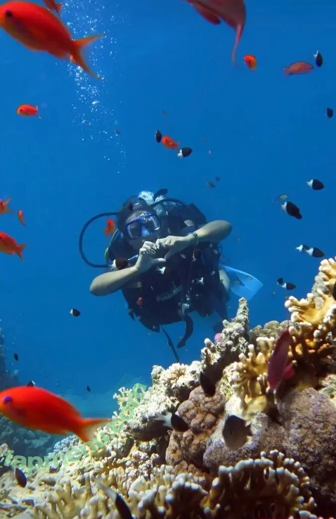 katyshka2208 nude photo #0130 (katyshka2208)