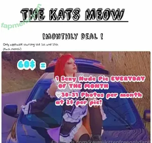 kawaiikittenfreeonlyfans / itskawaiikitten nude photo #0013