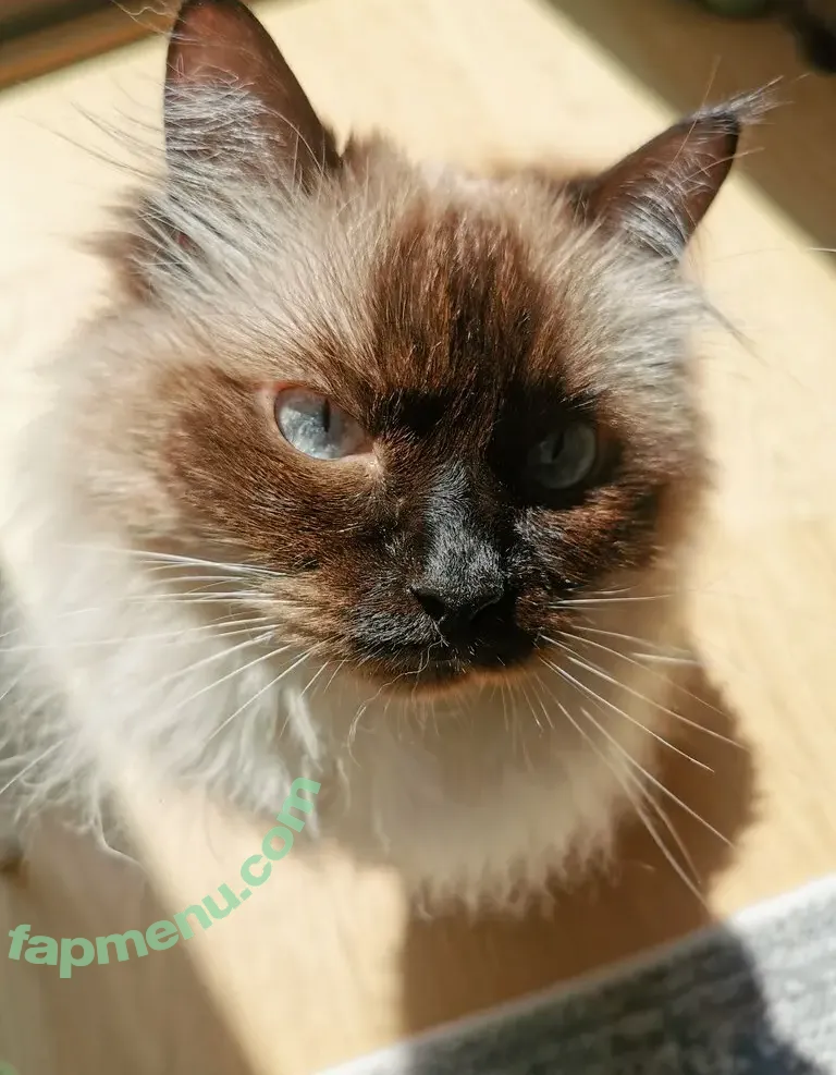 Keekihime nude photo #0357 (The Ex Idol)