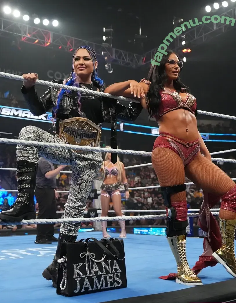 Kiana James nude photo #0071 (kianajames_wwe)