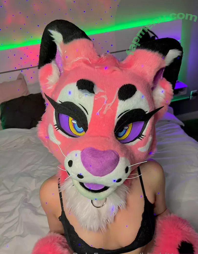 kirakittyxxx nude photo #0058 (Kiraxxxkat / auroraabloom)