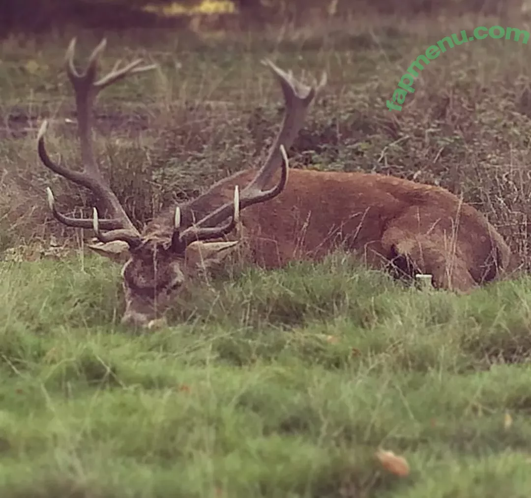 Kirsty Eccleston nude photo #0103 (kinkleberry)