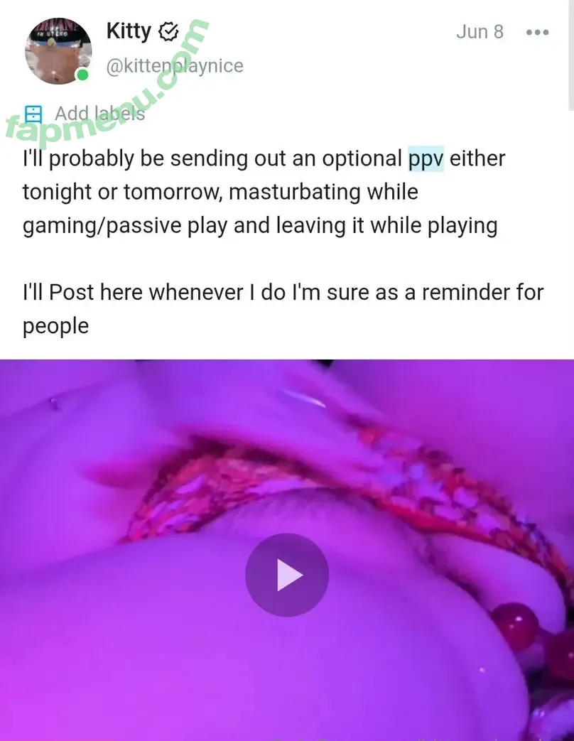 kittenplaynice nude photo #0048 (lowpolykittyy)