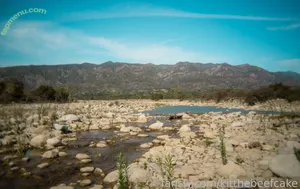 kitthebeefcake nude photo #0087