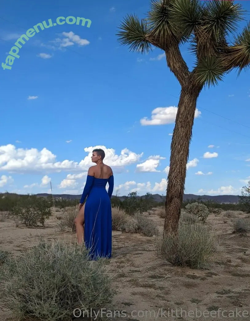 kitthebeefcake nude photo #0181 (kitthebeefcake)