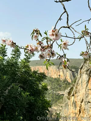 Kitty Berg / kitty_berg / kittyberg nude photo #0312