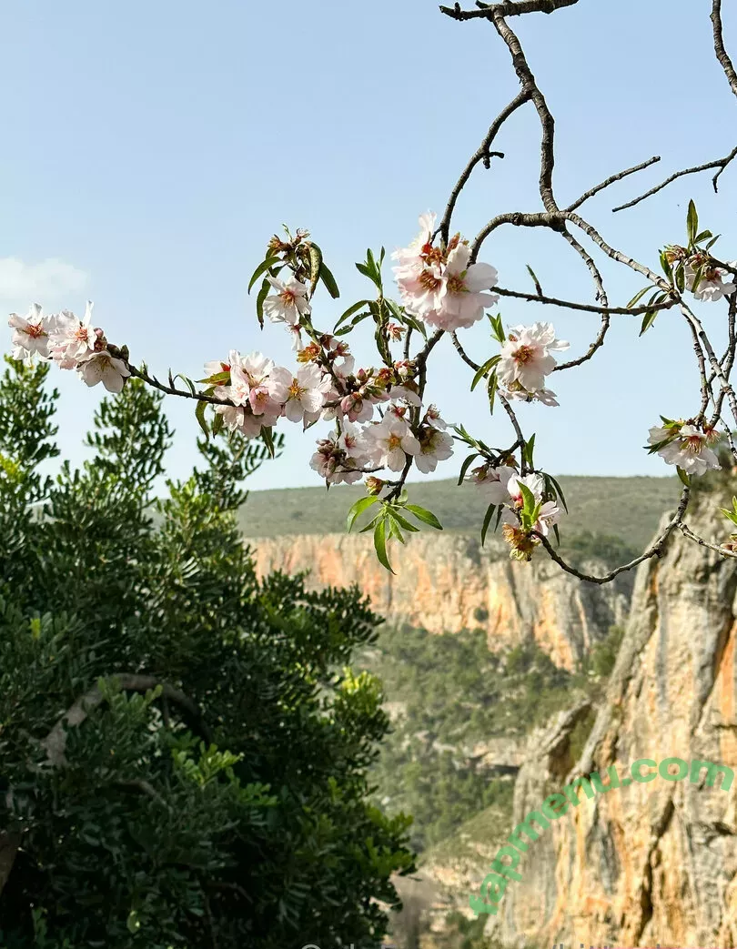 Kitty Berg nude photo #0312 (kitty_berg / kittyberg)