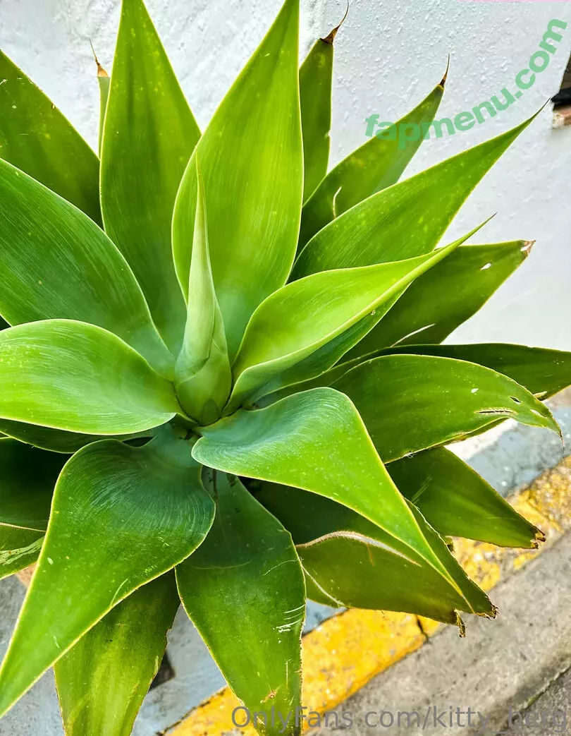 Kitty Berg nude photo #0407 (kitty_berg / kittyberg)