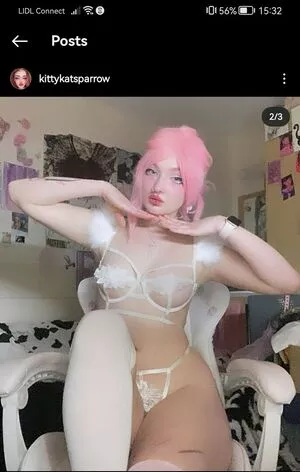 KittyKatSparrow / Katya Granovskiy / katyasparrow nude photo #0001