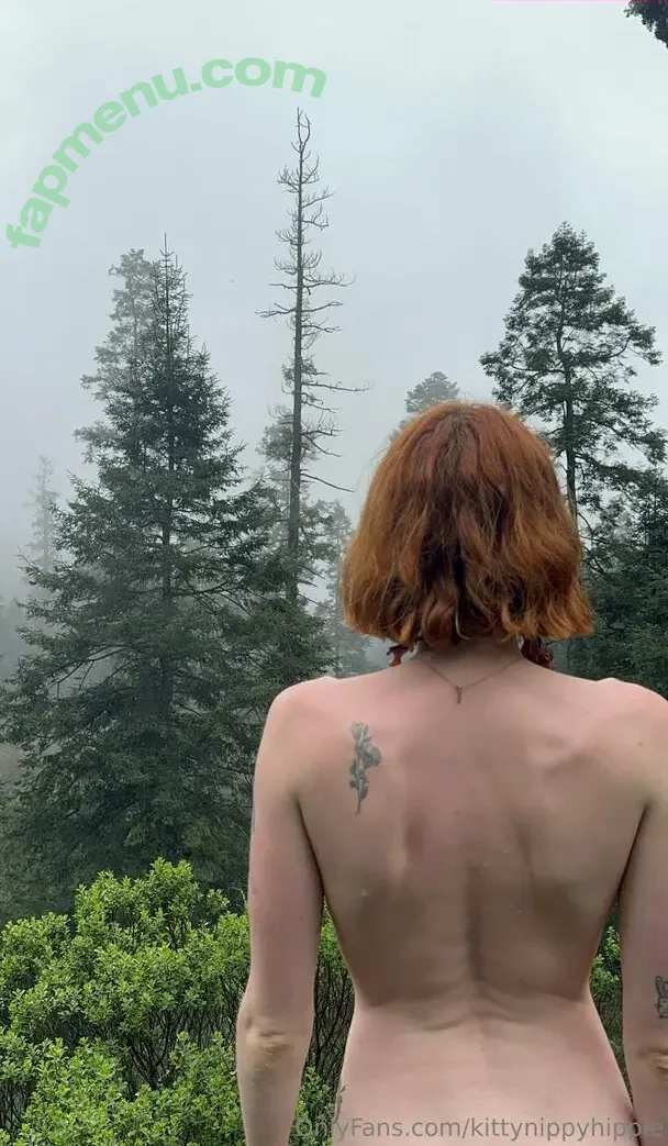kittynippyhippie nude photo #0219 (littlenippyhippie)