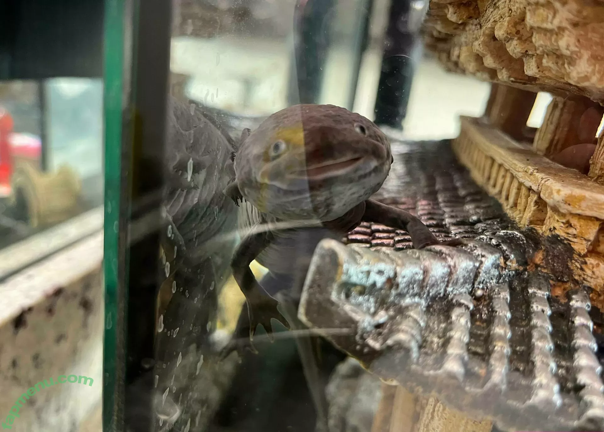 kiyomiii_0 nude photo #0194 (kiyomiii_0)